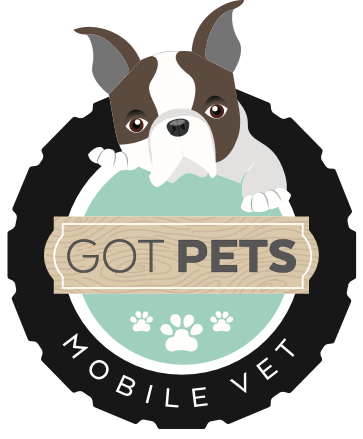 Got Pets Mobile Vet - Serving Northern New Jersey and surrounding areas Call (201) 312-0418 for an appointment!